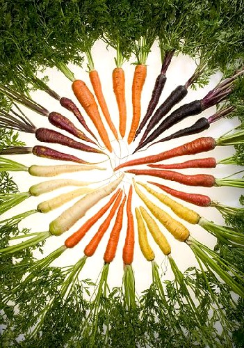 Rainbow Colored Carrots